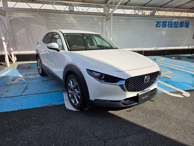 マツダ ＣＸ−３０ ２．０ ２０Ｓ Ｌパッケージ R2年 (関東) 99