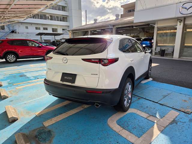 マツダ ＣＸ−３０ ２．０ ２０Ｓ Ｌパッケージ R2年 (関東) 99