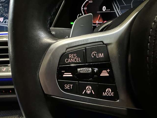 ＢＭＷ Ｘ６ Ｘドライブ３５Ｄ Ｍスポーツ ディーゼルターボ ４ＷＤ R2年 (関東) 99