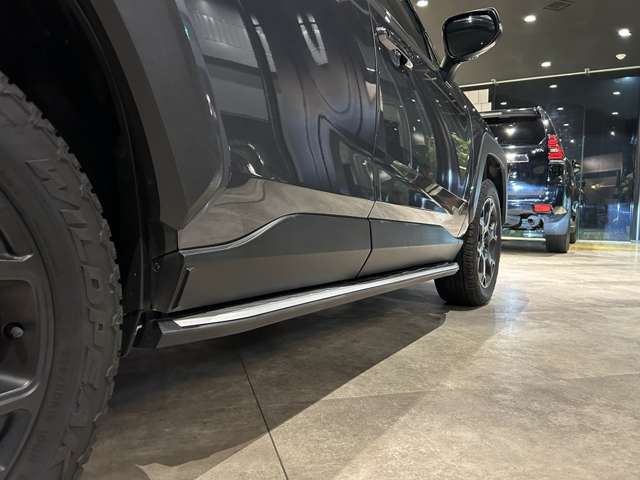 トヨタ ＲＡＶ４ ２．０ アドベンチャー オフロード パッケージＩＩ ４ＷＤ R5年 (関東) 99