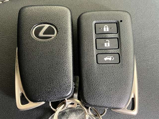 レクサス ＮＸ２００ｔ ２００Ｔ Ｉパッケージ ４ＷＤ H27年 (近畿) 99