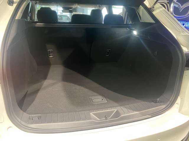 マツダ ＣＸ−６０ ２．５ ２５Ｓ Ｓパッケージ R8年 (関東) 99