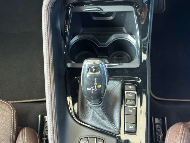 ＢＭＷ Ｘ２ Ｘドライブ２０Ｉ ＭスポーツＸ ４ＷＤ R1年 (東海) 99