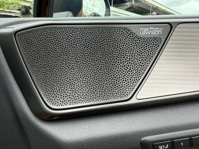 レクサス ＮＸ３５０ｈ ３５０Ｈ Ｆスポーツ ４ＷＤ R6年 () 99
