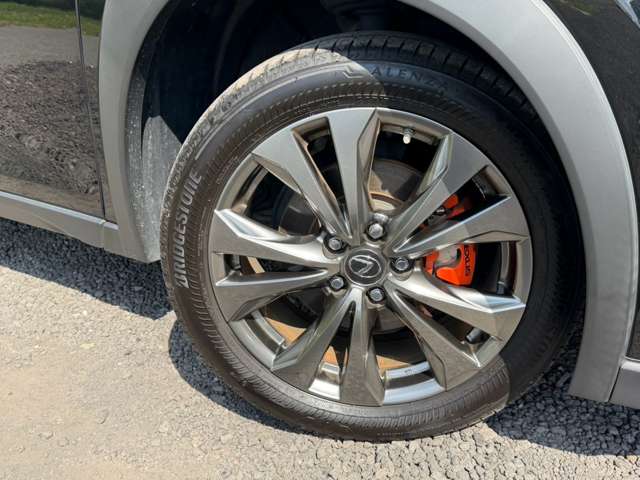 レクサス ＵＸ２５０ｈ Ｆスポーツ R5年 () 99