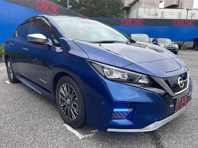 日産 リーフ ＡＵＴＥＣＨ R1年 (関東) 99