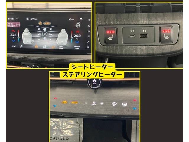 日産 アリア Ｂ６ R5年 (東海) 99