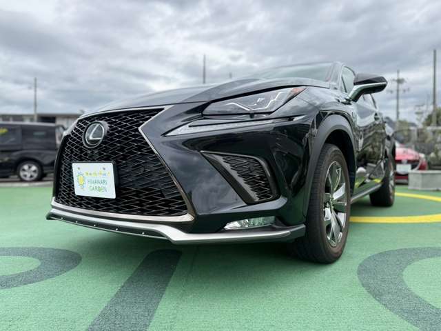 レクサス ＮＸ３００ Ｆスポーツ R1年 (近畿) 99