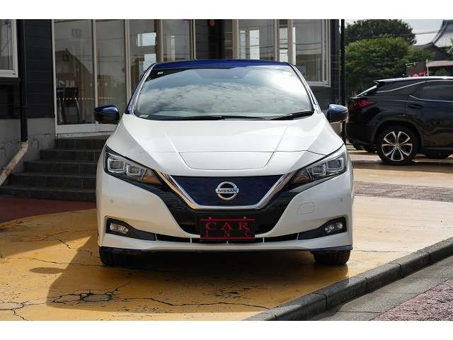 日産 リーフ ｅ＋　Ｇ R1年 (関東) 99
