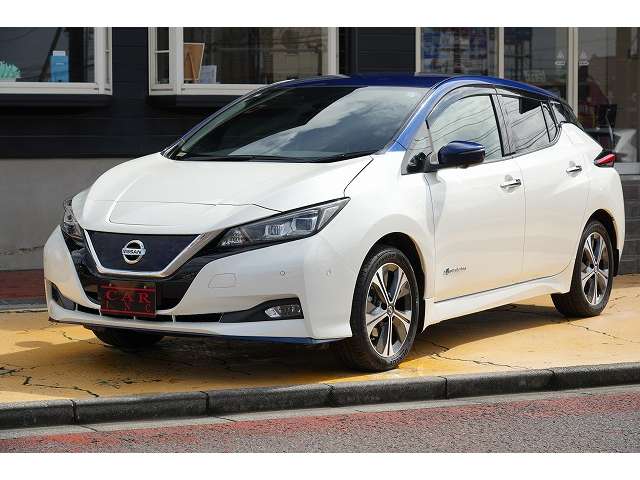 日産 リーフ ｅ＋　Ｇ R1年 (関東) 99