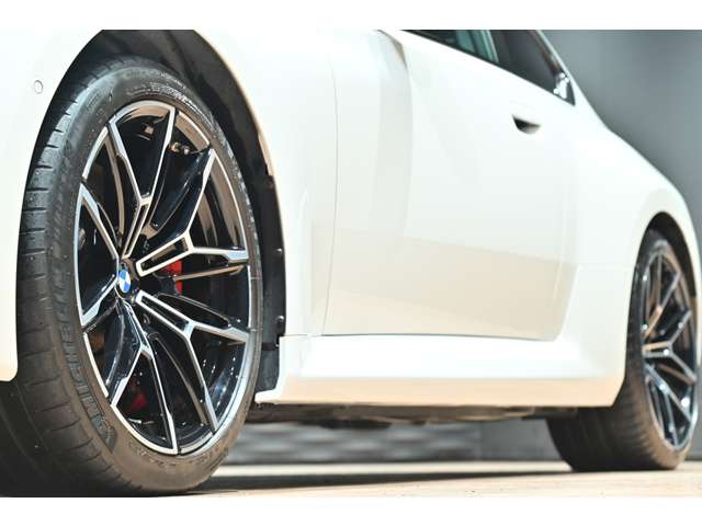 ＢＭＷ Ｍ２クーペ ３．０ R5年 (関東) 99