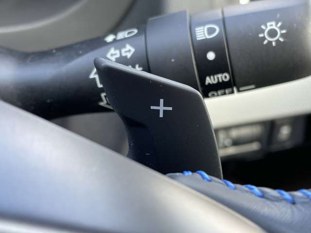 スバル レヴォーグ １．６ ＧＴ－Ｓ アイサイト ４ＷＤ H29年 () 99