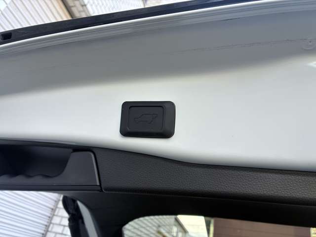 トヨタ ＲＡＶ４　ＰＨＶ ２．５ Ｇ Ｚ Ｅ－ＦＯＵＲ ４ＷＤ R3年 (近畿) 99