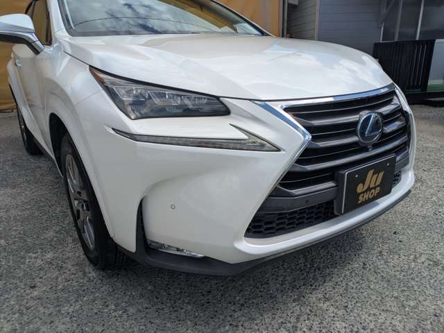 レクサス ＮＸ３００ｈ バージョンＬ H27年 (九州・沖縄) 99