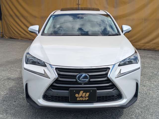 レクサス ＮＸ３００ｈ バージョンＬ H27年 (九州・沖縄) 99