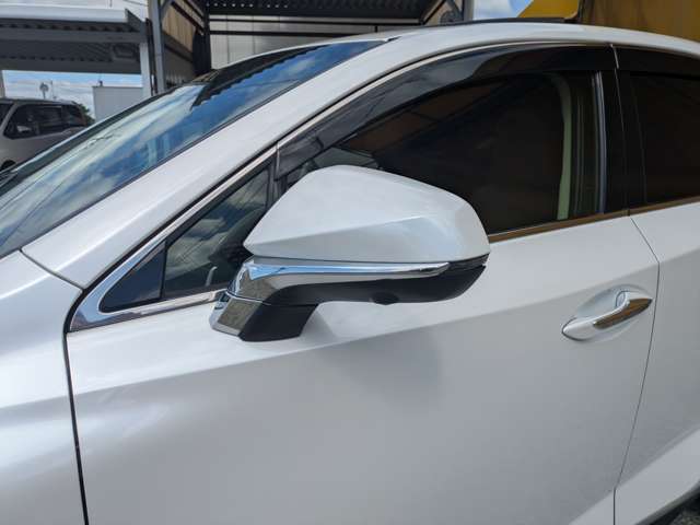 レクサス ＮＸ３００ｈ バージョンＬ H27年 (九州・沖縄) 99