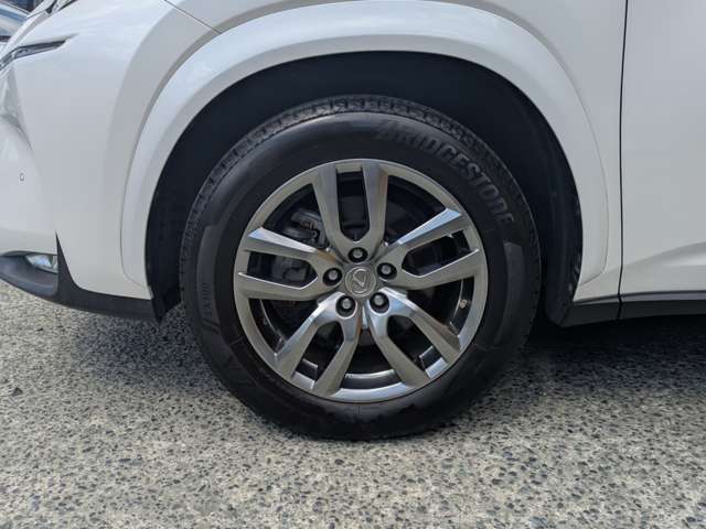 レクサス ＮＸ３００ｈ バージョンＬ H27年 (九州・沖縄) 99