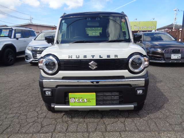 スズキ ハスラー ６６０ タフワイルド ４ＷＤ R7年 (甲信越・北陸) 99