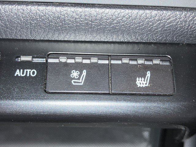 レクサス ＵＸ２５０ｈ バージョンＬ R1年 (近畿) 99