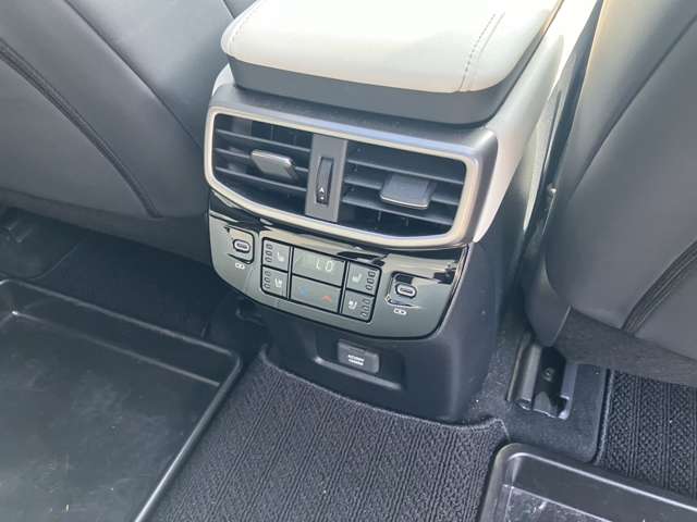 レクサス ＲＸ５００ｈ ５００Ｈ Ｆスポーツ パフォーマンス ４ＷＤ R7年 (近畿) 99