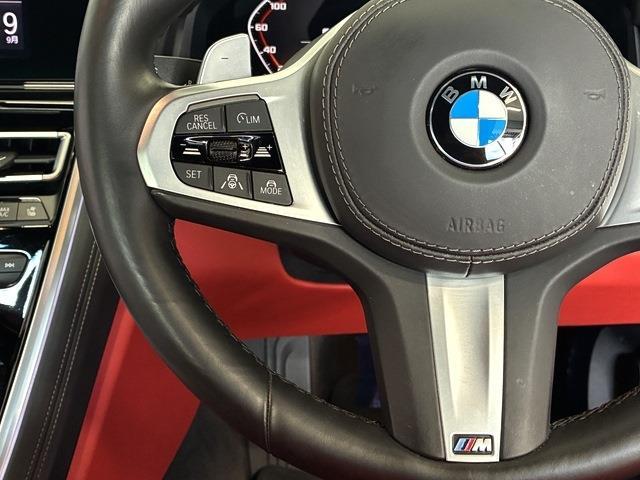 ＢＭＷ ８シリーズ Ｍ８５０Ｉ Ｘドライブ ４ＷＤ R1年 (中国) 99