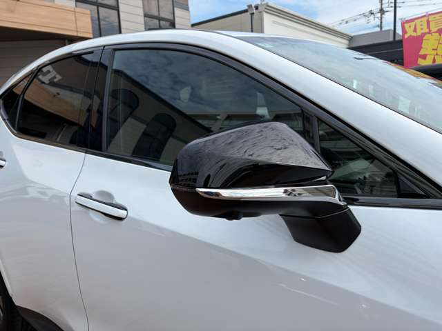 レクサス ＮＸ３５０ｈ Ｆスポーツ R5年 (九州・沖縄) 99