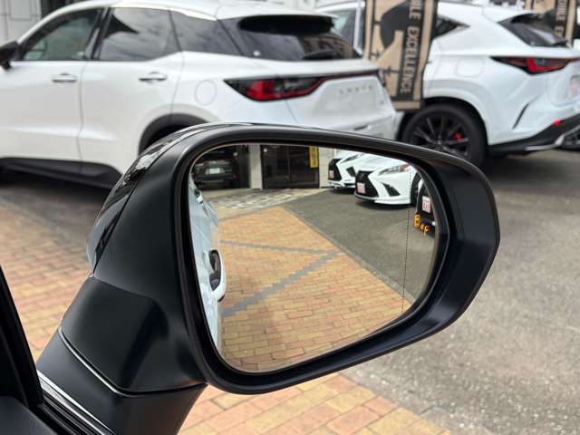 レクサス ＮＸ３５０ｈ Ｆスポーツ R5年 (九州・沖縄) 99