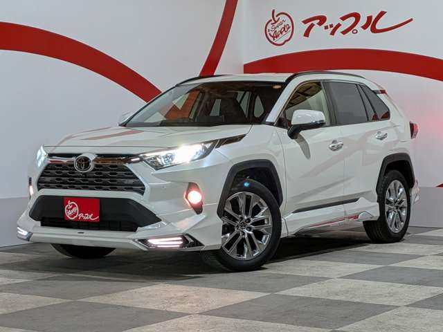 トヨタ ＲＡＶ４ ２．０ Ｇ Ｚパッケージ ４ＷＤ R3年 (東北) 99