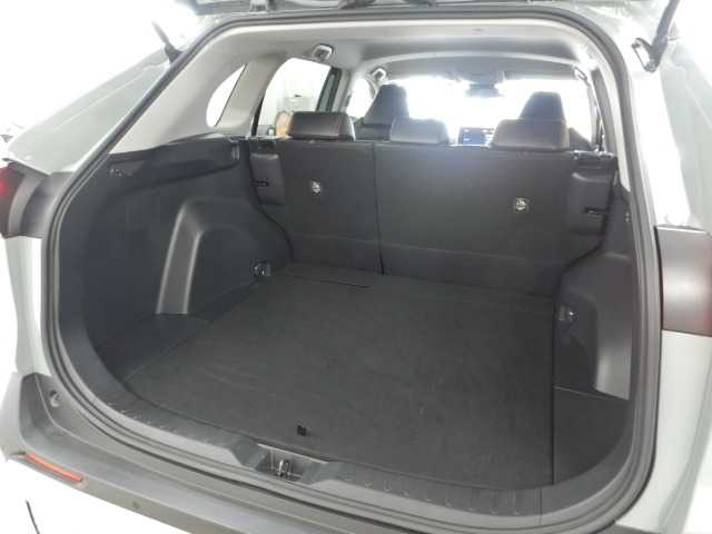 トヨタ ＲＡＶ４ ２．０ アドベンチャー ４ＷＤ R4年 (九州・沖縄) 99
