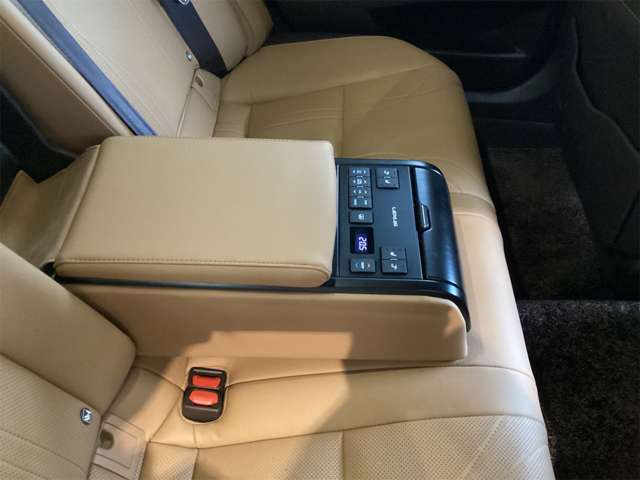 レクサス ＥＳ３００ｈ バージョンＬ R2年 () 99