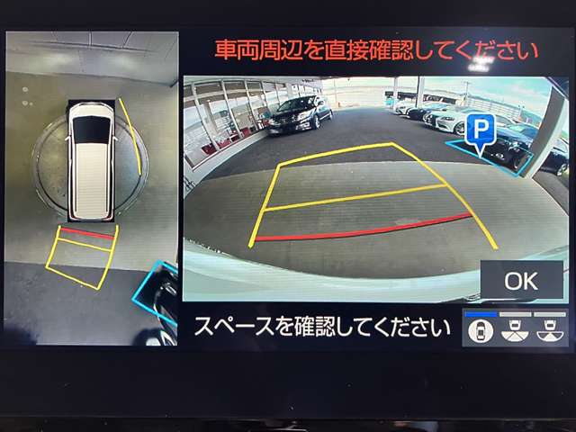 トヨタ アルファード ２．５ Ｓ Ｃパッケージ R3年 (近畿) 99