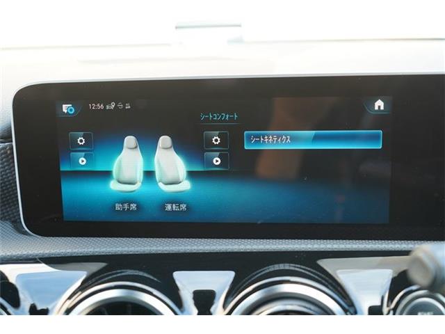 メルセデスベンツ Ａクラス Ａ２５０ ４マチック ４ＷＤ R1年 (中国) 99