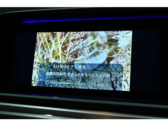 メルセデスベンツ Ｇクラス Ｇ４００Ｄ ＡＭＧライン ディーゼルターボ ４ＷＤ R4年 (関東) 99