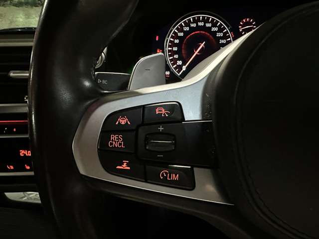 ＢＭＷ Ｘ３ Ｘドライブ２０Ｄ Ｍスポーツ ディーゼルターボ ４ＷＤ H30年 (関東) 99