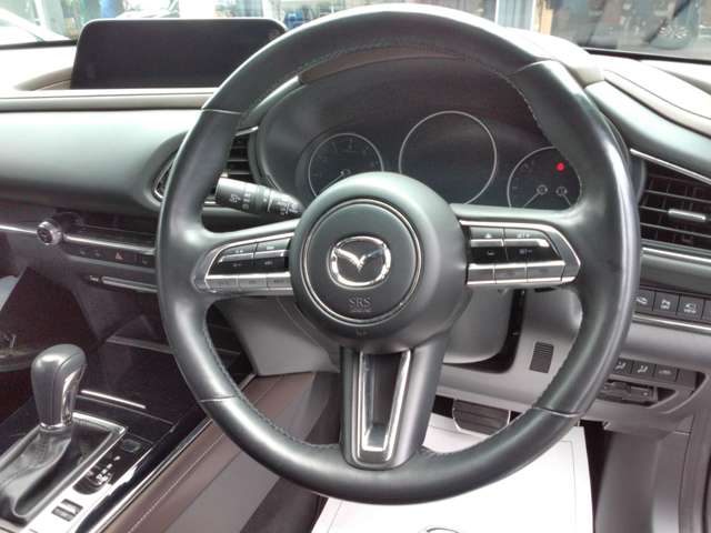 マツダ ＣＸ−３０ ２．０ ２０Ｓ Ｌパッケージ ４ＷＤ R2年 (関東) 99