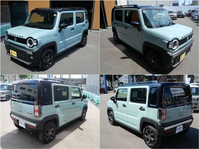スズキ ハスラー ６６０ タフワイルド ４ＷＤ R7年 (北海道) 99