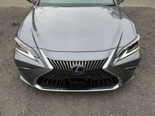 レクサス ＥＳ３００ｈ バージョンＬ R2年 (近畿) 99