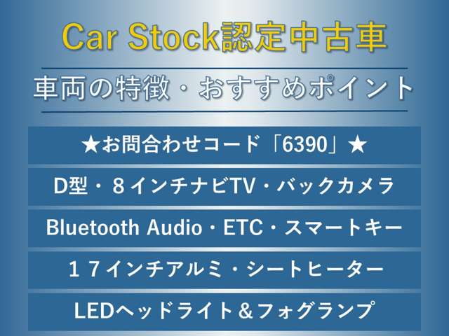 スバル レヴォーグ １．６ ＧＴ アイサイト ４ＷＤ H29年 (東海) 99