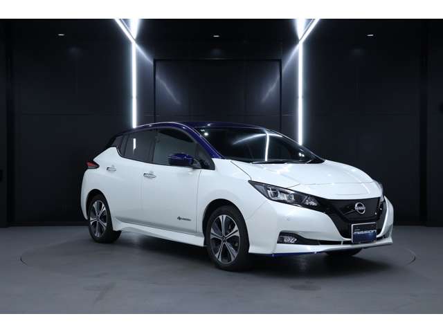 日産 リーフ ｅ＋　Ｘ R4年 (北海道) 99