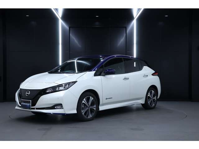 日産 リーフ ｅ＋　Ｘ R4年 (北海道) 99