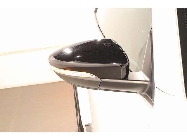 フォルクスワーゲン ザ　ビートル Ｒライン　マイスター R1年 (近畿) 99