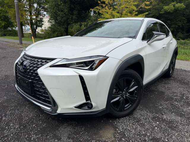 レクサス ＵＸ２５０ｈ バージョンＣ R3年 (近畿) 99