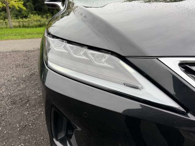 レクサス ＲＸ４５０ｈ バージョンＬ R3年 (近畿) 99