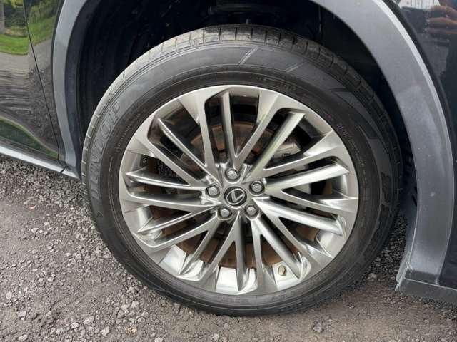 レクサス ＲＸ４５０ｈ バージョンＬ R3年 (近畿) 99