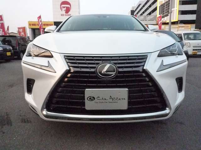 レクサス ＮＸ３００ Ｉパッケージ H30年 (中国) 99