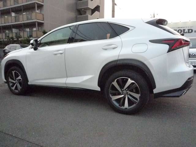 レクサス ＮＸ３００ Ｉパッケージ H30年 (中国) 99