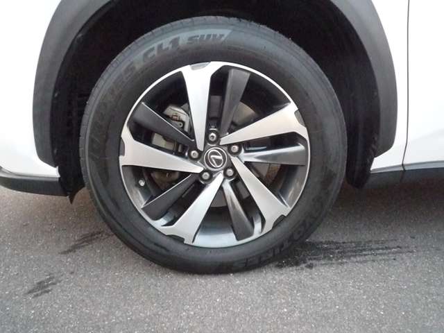 レクサス ＮＸ３００ Ｉパッケージ H30年 (中国) 99