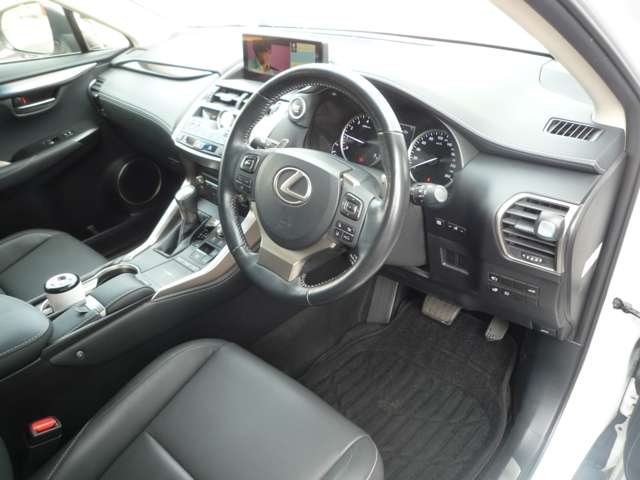レクサス ＮＸ３００ Ｉパッケージ H30年 (中国) 99