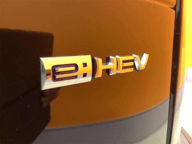 ホンダ フリード　ハイブリッド １．５ Ｅ：ＨＥＶ エアー ＥＸ R7年 (近畿) 99