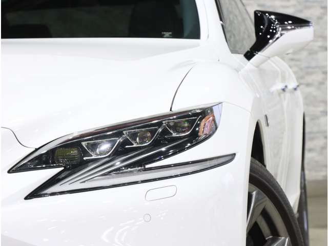 レクサス ＬＳ５００ Ｆスポーツ H30年 (関東) 99